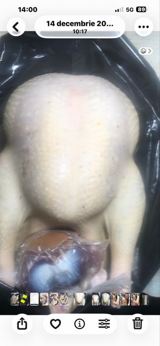 Curcani albi de carne