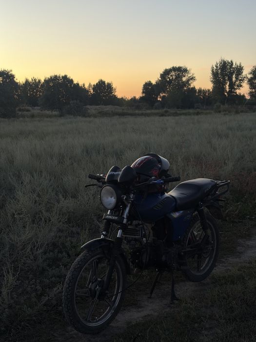 Продам Альфу гсс