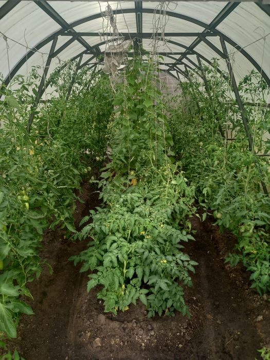 Продам дом, рабочий посёлок