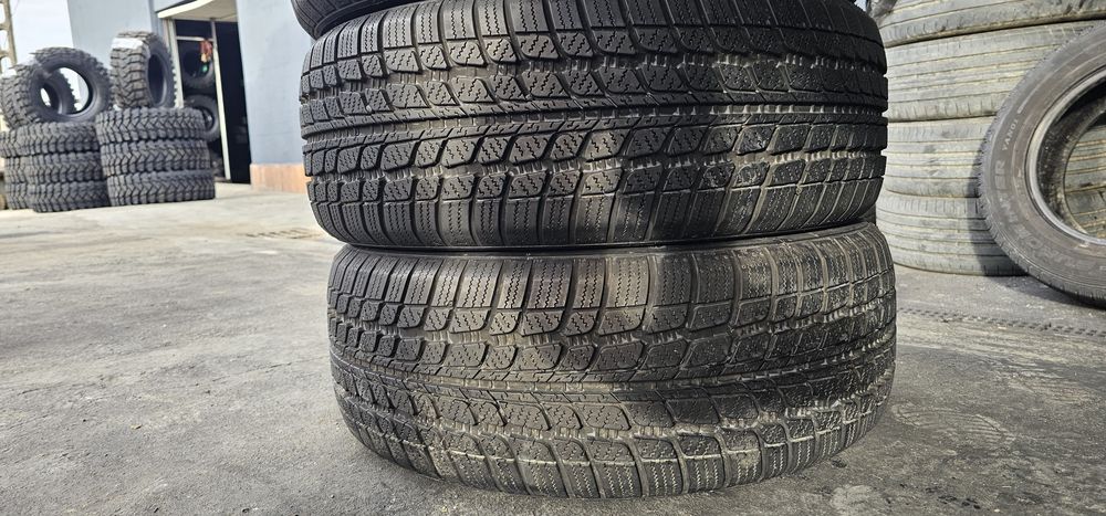 215 55 R 17 Sunny iarna