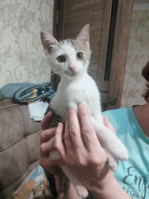 Культурный мальчик