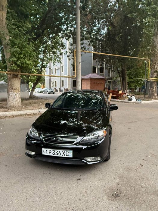 Jentira qoro srochna sotiladi 2020 yili