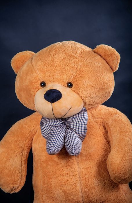 Мягкая игрушка Медведь, 200 см