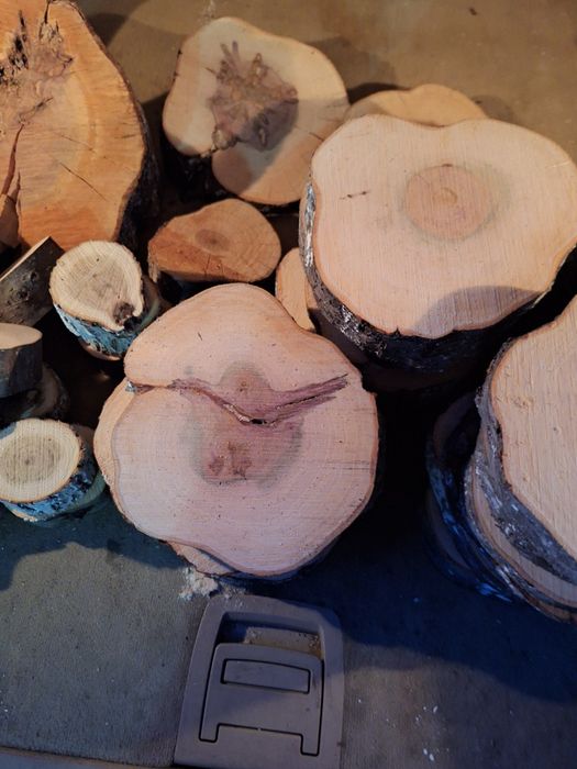 Шайби от естественно дърво 67 броя