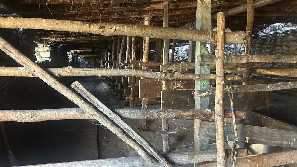 Продам крестьянское хозяйстсо