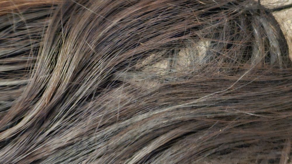 Продам волосы  натуральные.