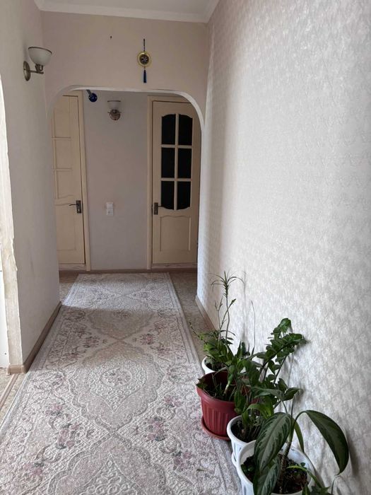 3-комн квартира.