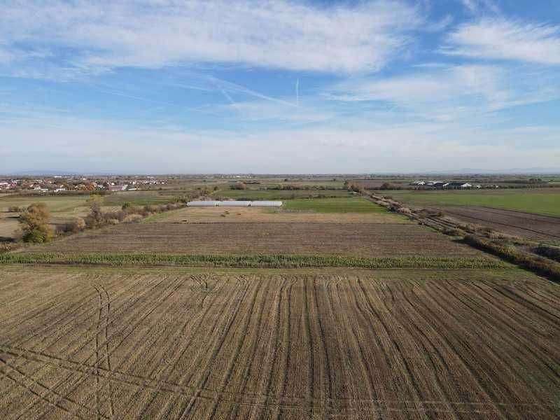 Продава се Земеделски имот в с. Крислово, Област Пловдив -  кв.м за 62 €/дка - Снимка #8