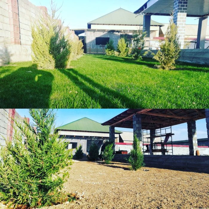 Авто полив газон