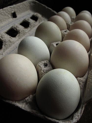 Утиные няйца на инкубаци гусиные