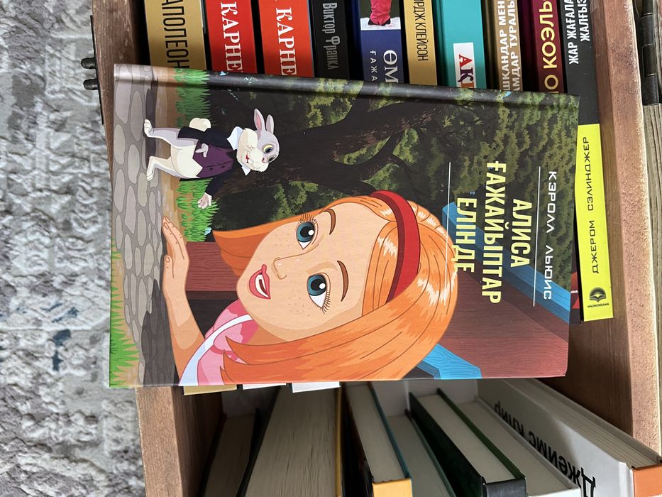 Жаңа кітаптар сатамын бірнеше выбор бар