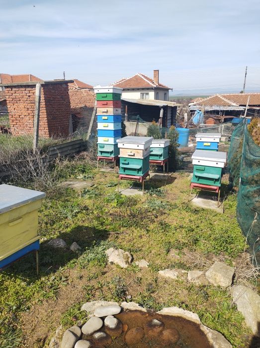 Продавам пчелни семейства