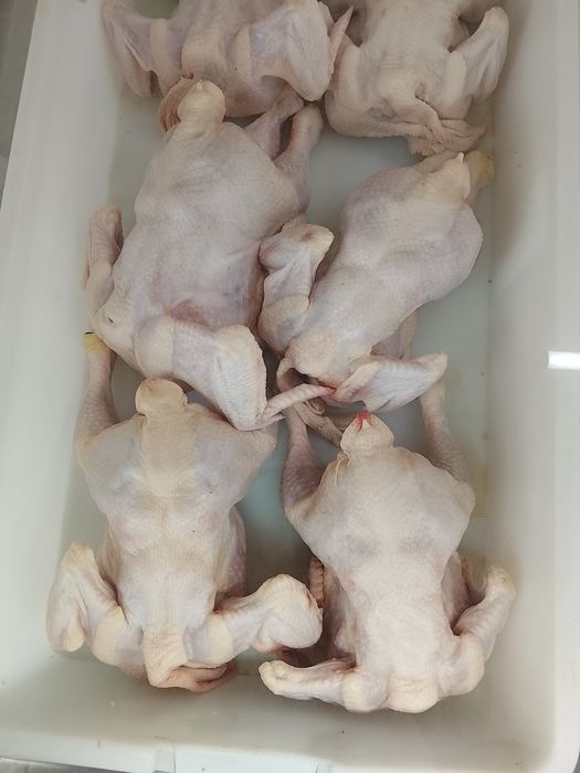 Окорчка филе крыло