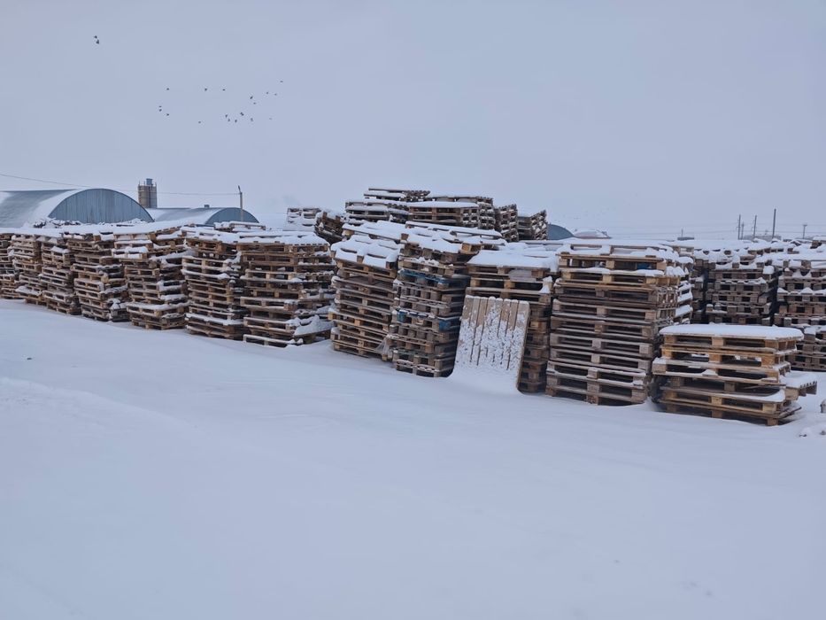 Продам европоддоны