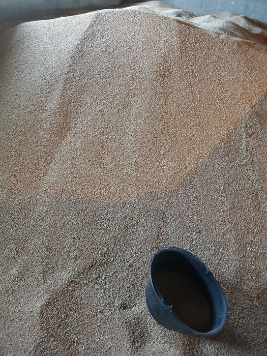 Grâu de vânzare calificate bună