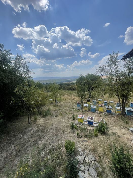 Продава се Къща в София, Студентски град - 45 кв.м за 623 €/кв.м - Снимка #6