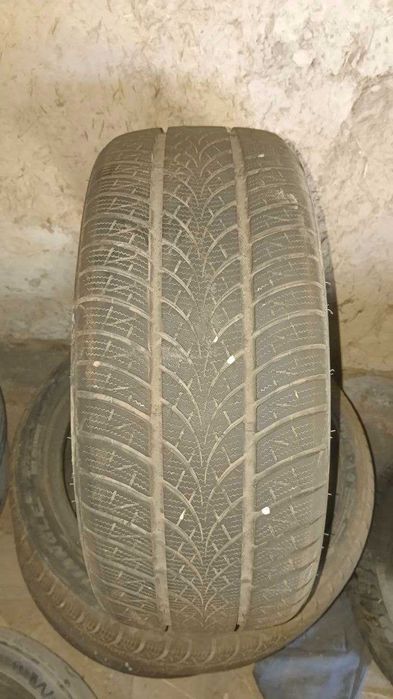 автошина для легковой машины