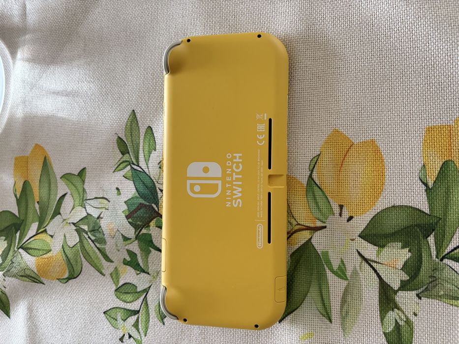 Nintendo switch lite