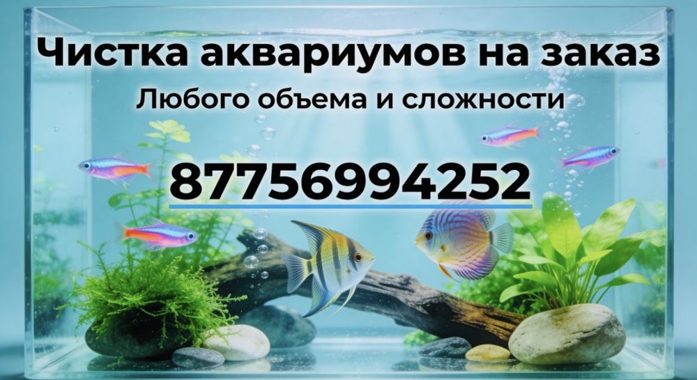 Профессиональная чистка аквариумов
