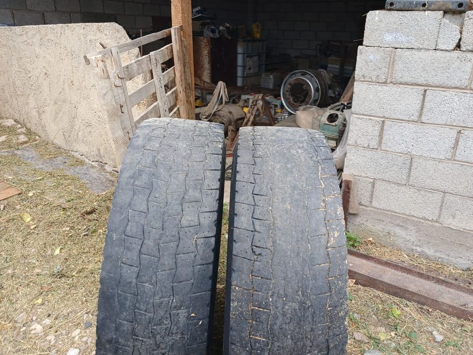 Мишилени ведущих