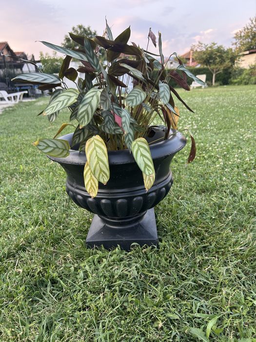 Бетонни градински стъпки-ГИГАНТ !!! Костенурки, плочки, бордюри и др.