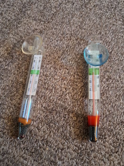 Plante de suprafață pentru acvariu