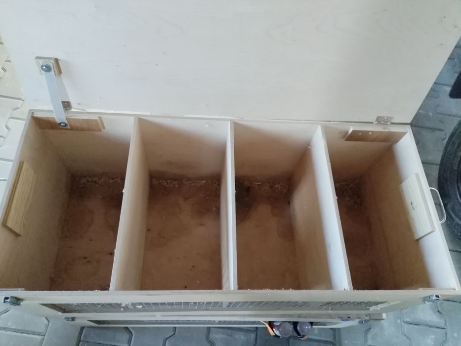 Custi transport iepuri