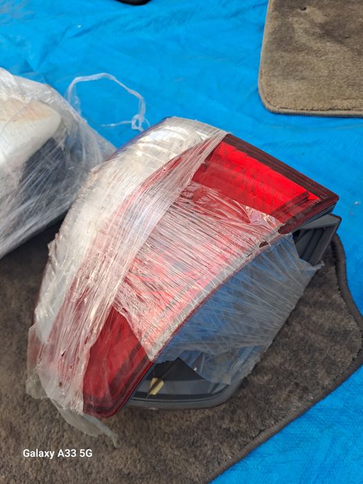 Ноускат для Ипсум