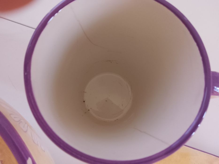 Сервиз за хранене