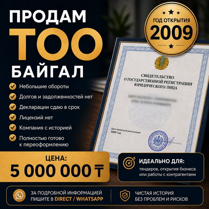 Продам ТОО, дата открытия  2009 год.