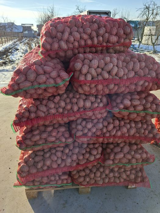 Cartofi de vânzare