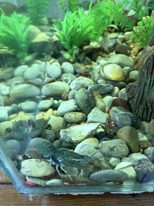 Аквариум с оборудованием