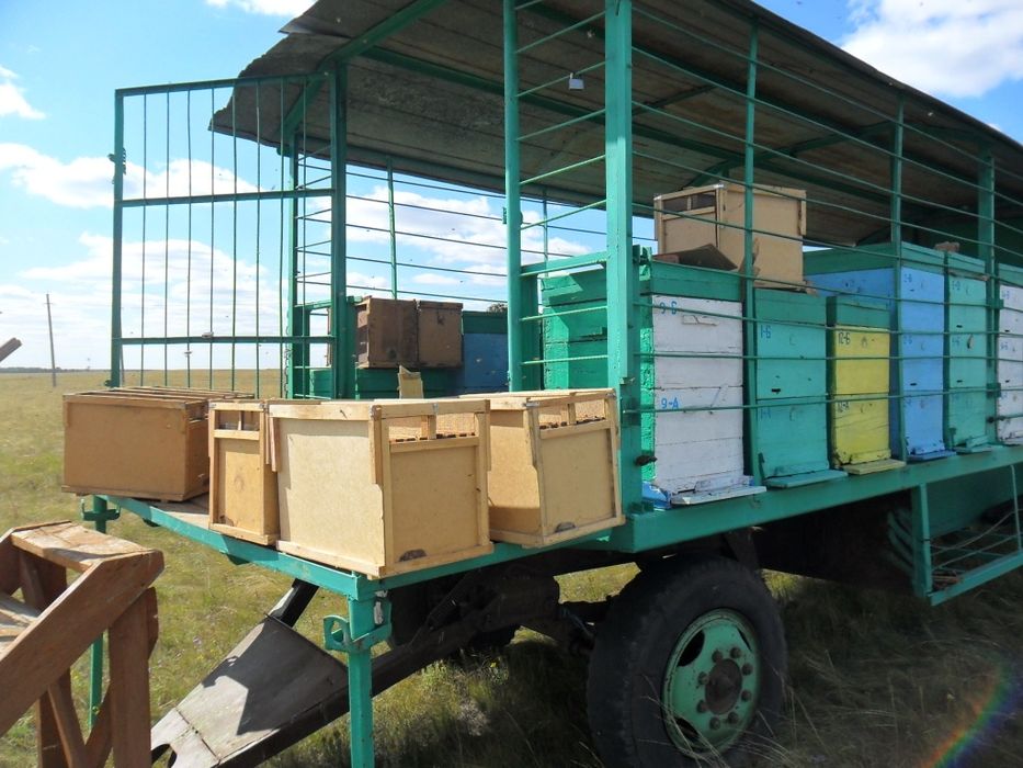 Пчелопавильон. Прицеп для пчёл.  Улья