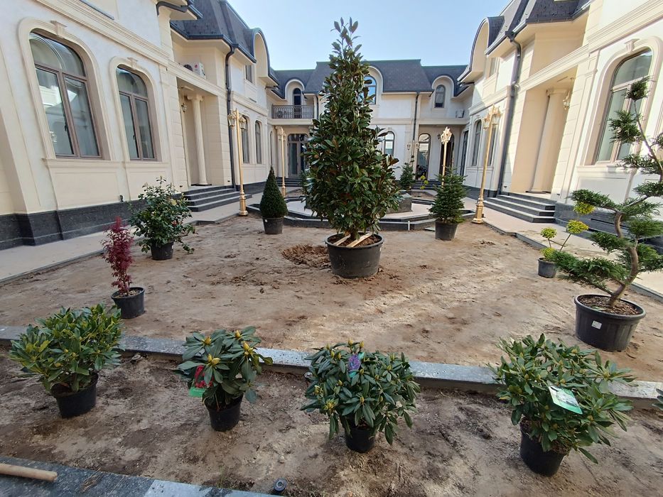 Gazon ,газон газоны автополив