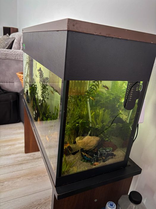 Vand acvariu facut pe comanda 60-70L, COMPLET