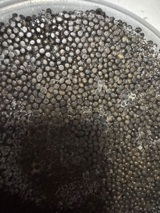 Чёрная икра полезна витаминами