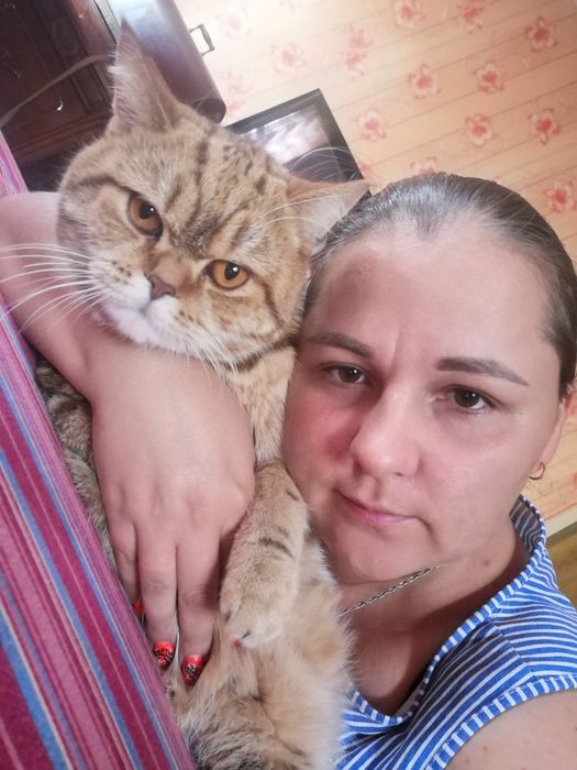 Пропал кот в районе мельзавода