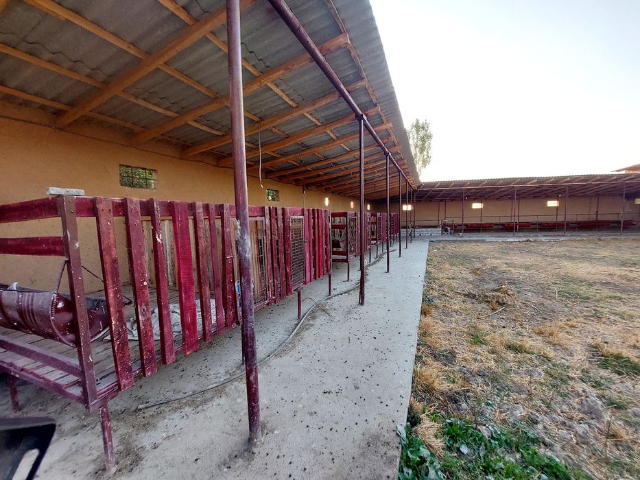 Современная ферма с готовым домом (12 соток) и ферма (18 соток) делимы