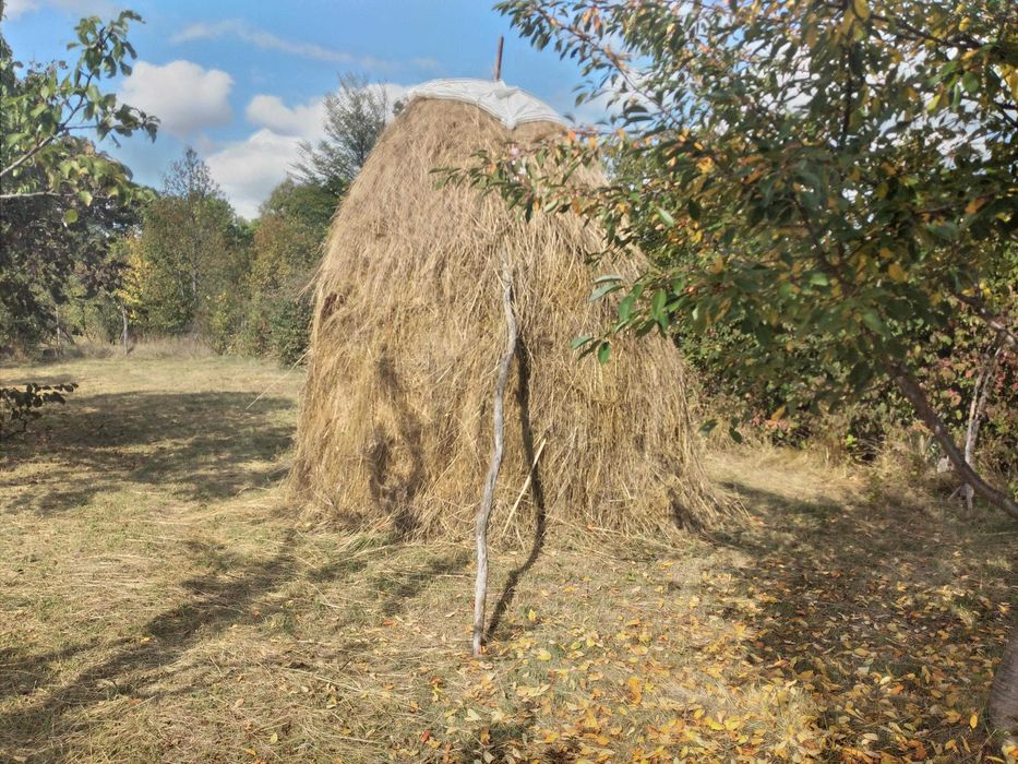 Vând fân şi otavă ecologică vrac