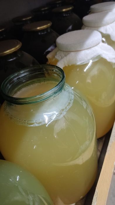 Домашний яблочный уксус