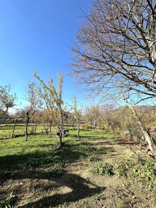Teren intravilan 1.308 mp in Codlea Str. Nicolae Balcescu