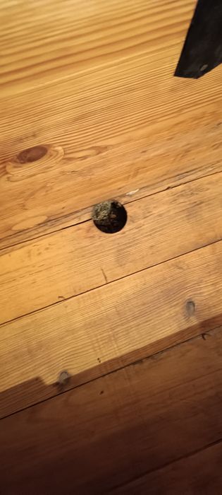 Сундук для хранения