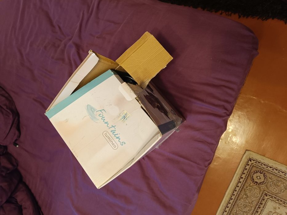 Фонтан домашний.