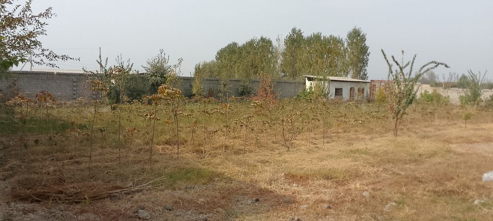 Йер 20 сотик 8000