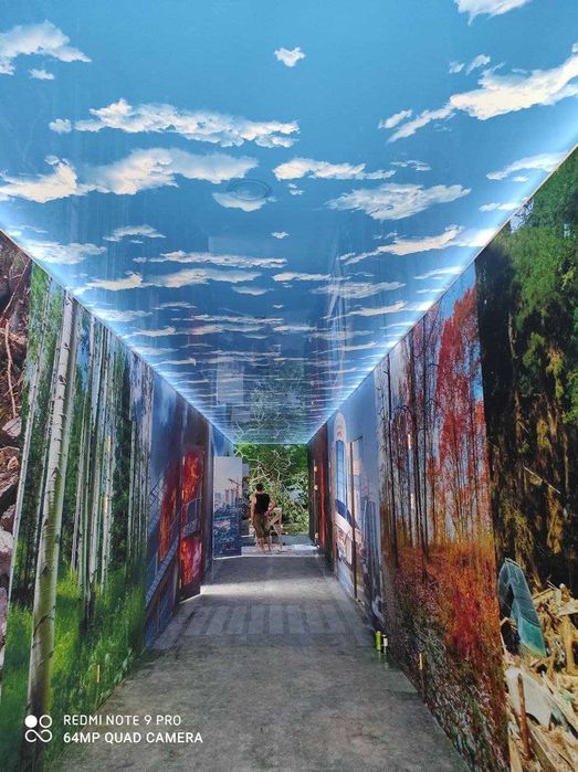 Natyajnoy potolok | Натяжные потолки | Натяжной потолок | usta |NT-21