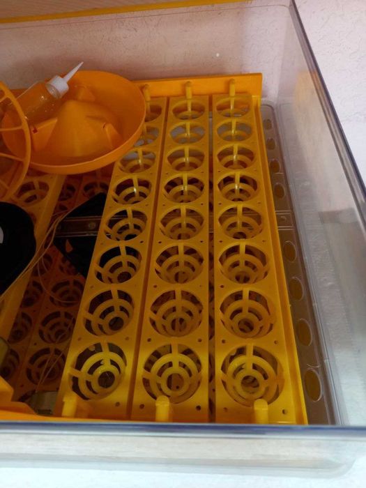 Инкубатор аппаратини оптом нархда харид килинг Шошилинг