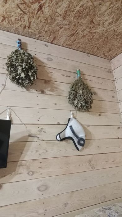 проается участкок
