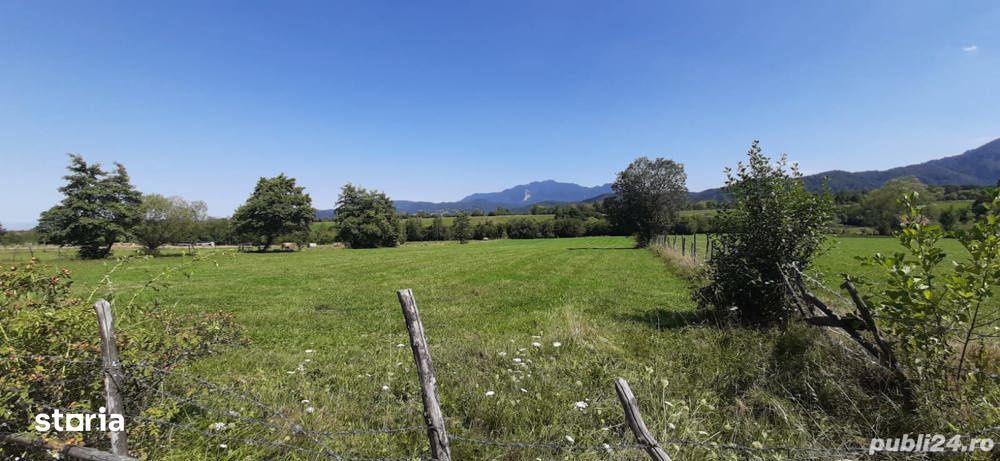 Teren 9350 mp Bran Livada, Extravilan