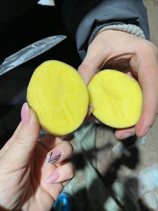 Продам картофель оптом и в розницу