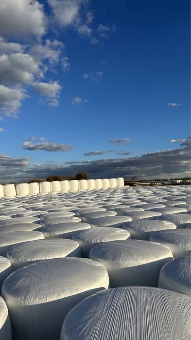 Baloti Siloz Porumb 2025